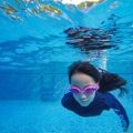 Swim Bladder Disease in Fish: Causes, Solutions, and Prevention