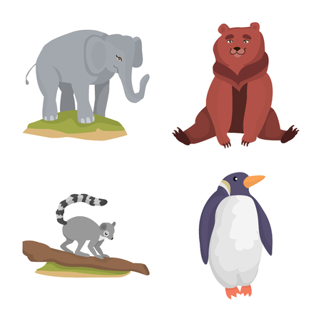 Species-by-Species: Best Ways to Keep Your Pet Active