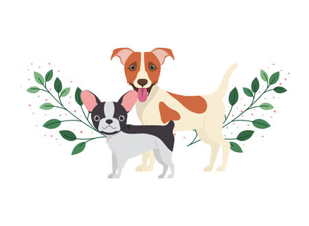 Life on the Farm: From Stray to Star of the Homestead