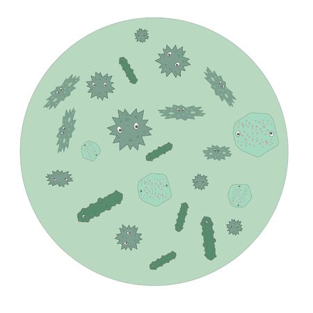 Importance of Supplementing Feeder Insects