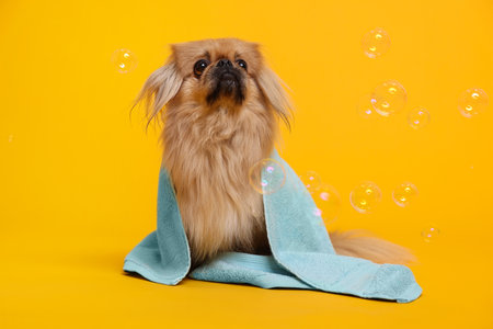 The Importance of Hydration for Small Pets: How Much Water Do They Really Need?