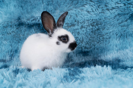 A Complete Guide to Herbivorous Exotic Pets: Providing a Balanced Plant-Based Diet