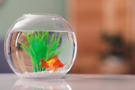 How to Set Up a Nano Tank: Small Aquarium Tips and Tricks