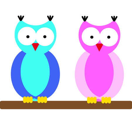 Vitamin D Deficiency in Pet Birds