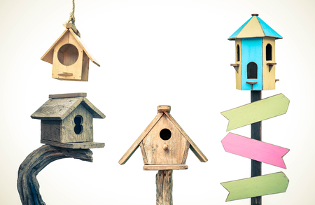 Top Cage Cleaning Practices to Keep Your Bird Safe and Healthy