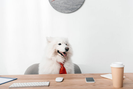 Pet-Friendly Workplaces: The Rise of Emotional Support Animals at the Office