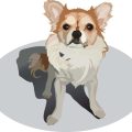 Pet Food Recalls: How to Stay Informed and Keep Your Pet Safe
