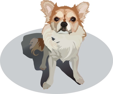 Pet Food Recalls: How to Stay Informed and Keep Your Pet Safe
