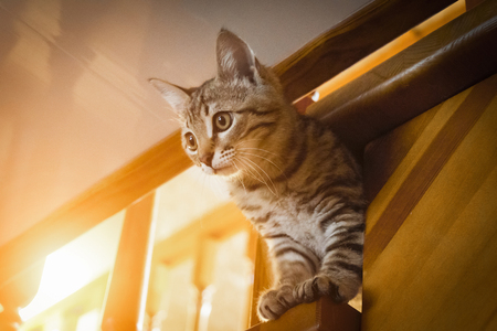 Nighttime vs. Daytime Habits: How to Set Up an Ideal Environment