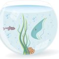 How to Maintain Water Quality in Your Aquarium