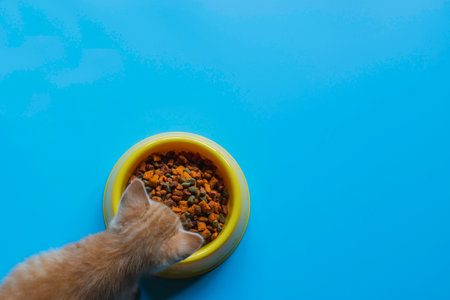 Managing Noise Levels in Small Pet Environments