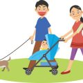 Social Play: Encouraging Small Pets to Interact and Exercise Together