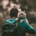 The Best Pet Gates and Barriers to Keep Your Pet Safe at Home
