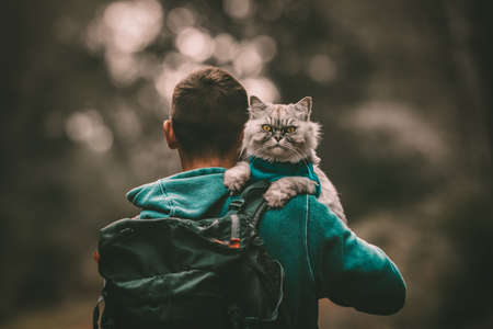 The Best Pet Gates and Barriers to Keep Your Pet Safe at Home