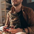The Role of Playtime in Strengthening Your Bond with Your Cat