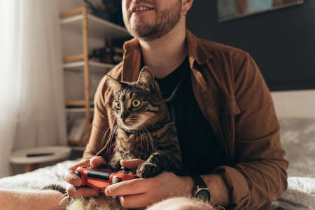 The Role of Playtime in Strengthening Your Bond with Your Cat