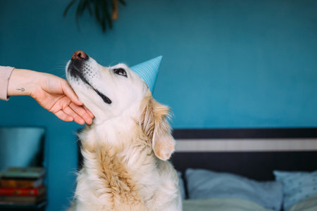 Tumors and Cancer in Exotic Pets: Detection and Treatment Options
