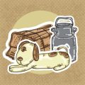 Small Pet Grooming Tips: Keeping Your Pet Clean and Healthy