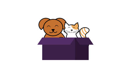 Adjusting Nutrition and Diet for Senior Pets