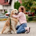 Overcoming Trauma with the Help of Emotional Support Animals