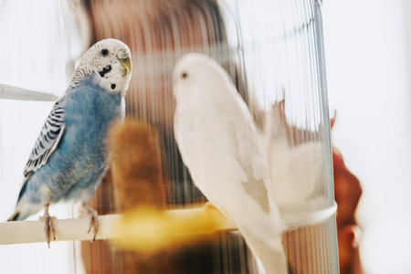 Do Birds Need Supplements? When and How to Use Them