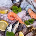 Recognizing Early Signs of Disease in Your Fish and Taking Action