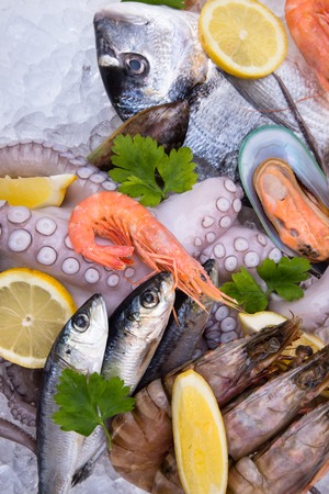 Recognizing Early Signs of Disease in Your Fish and Taking Action