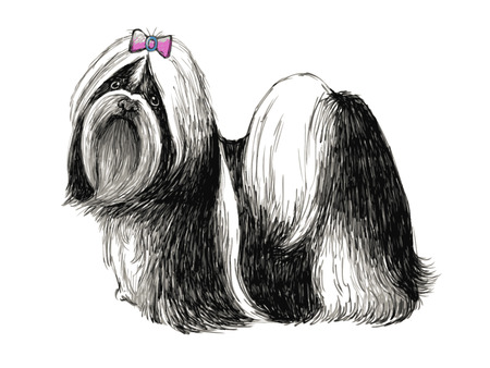 The At-Home Grooming Experience