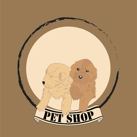 Hamster Feeding Guide: Seeds, Grains, and Fresh Foods