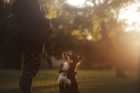 How to Encourage a Lazy Small Pet to Exercise
