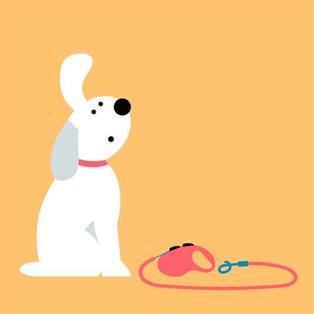 The Role of Exercise in Small Pet Health: How to Keep Them Active