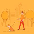 Creating a Comfortable Home Environment for Pets with Mobility Issues