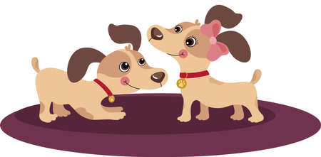 How to Read the Fine Print of a Pet Insurance Policy: What to Look For