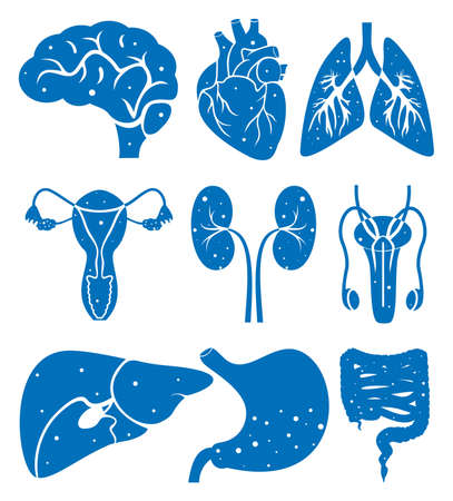 Causes and Risk Factors