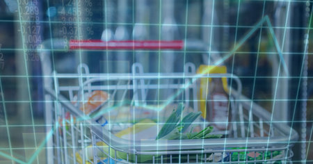 Top Safe Disinfectants for Bird Cages