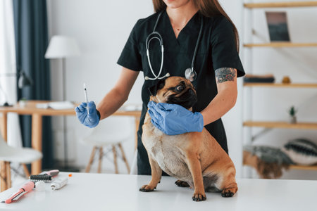 Liver Disease in Exotic Pets: Signs, Causes, and Veterinary Care