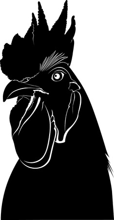 The Power of Eye Contact in Bird Training: Understanding Your Bird’s Reactions