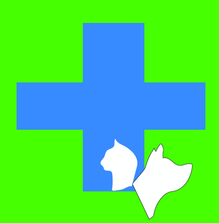 The Impact of Dog Food Ingredients: What to Look for and Avoid