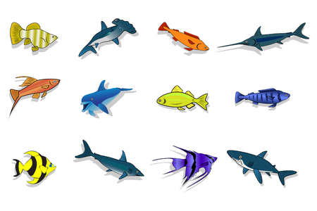 How Water Temperature Influences Fish Immune Response