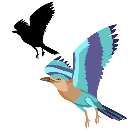 Approaching with Care