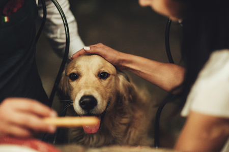 Zoonotic Diseases and Pet Vaccination: Protecting Both Your Pet and Your Family
