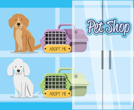 Pet-Friendly Bedding and Furniture Choices